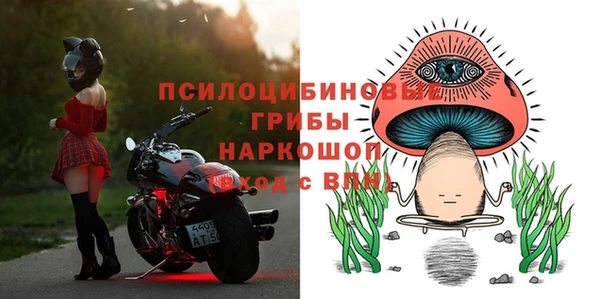 a pvp Абаза