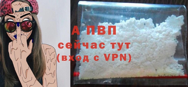 сатива Костерёво