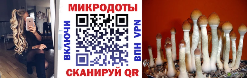 Галлюциногенные грибы Magic Shrooms где можно купить Мостовской
